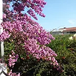 Apartmán Viskovic